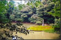 japon (69).jpg
